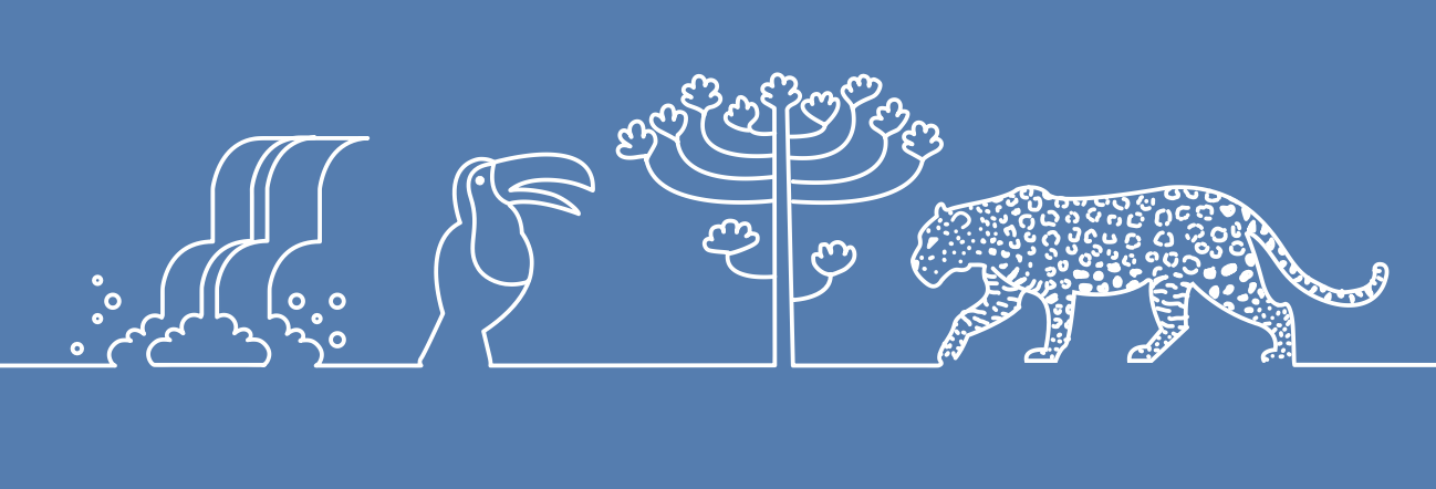 INSARAG Foz do Iguaçu 2026